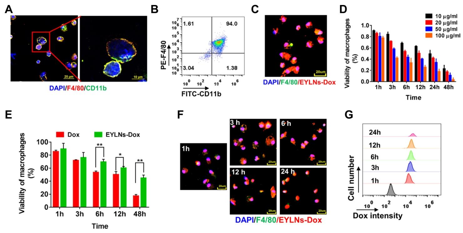 图2：体外抗肿瘤活性