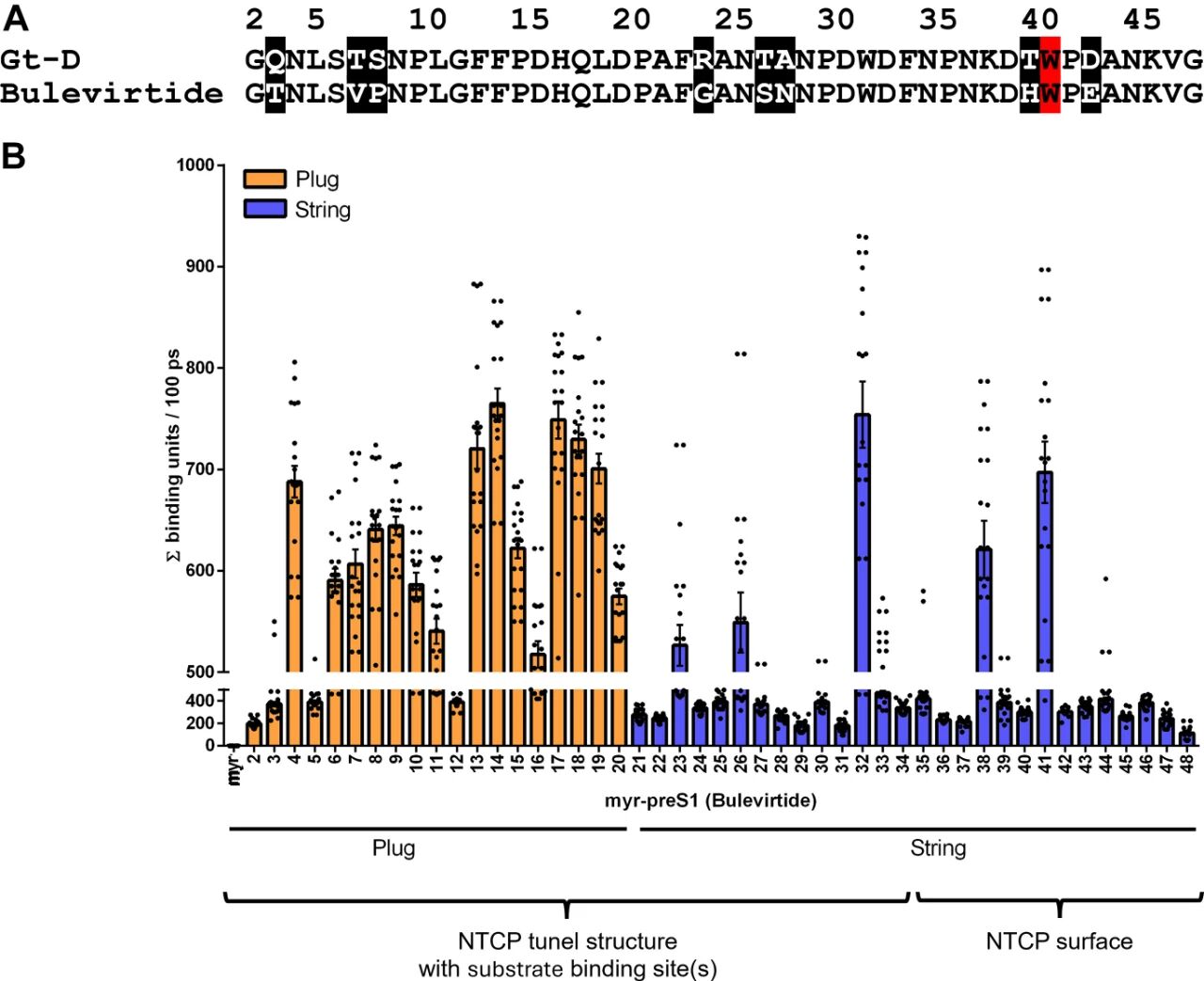 图2：myr-preS1与NTCP分子相互作用的时间分辨MD模拟
