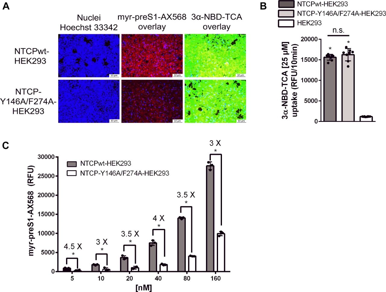图4：NTCP-Y146A/F274A双突变体的胆汁酸转运功能与myr-preS1结合能力