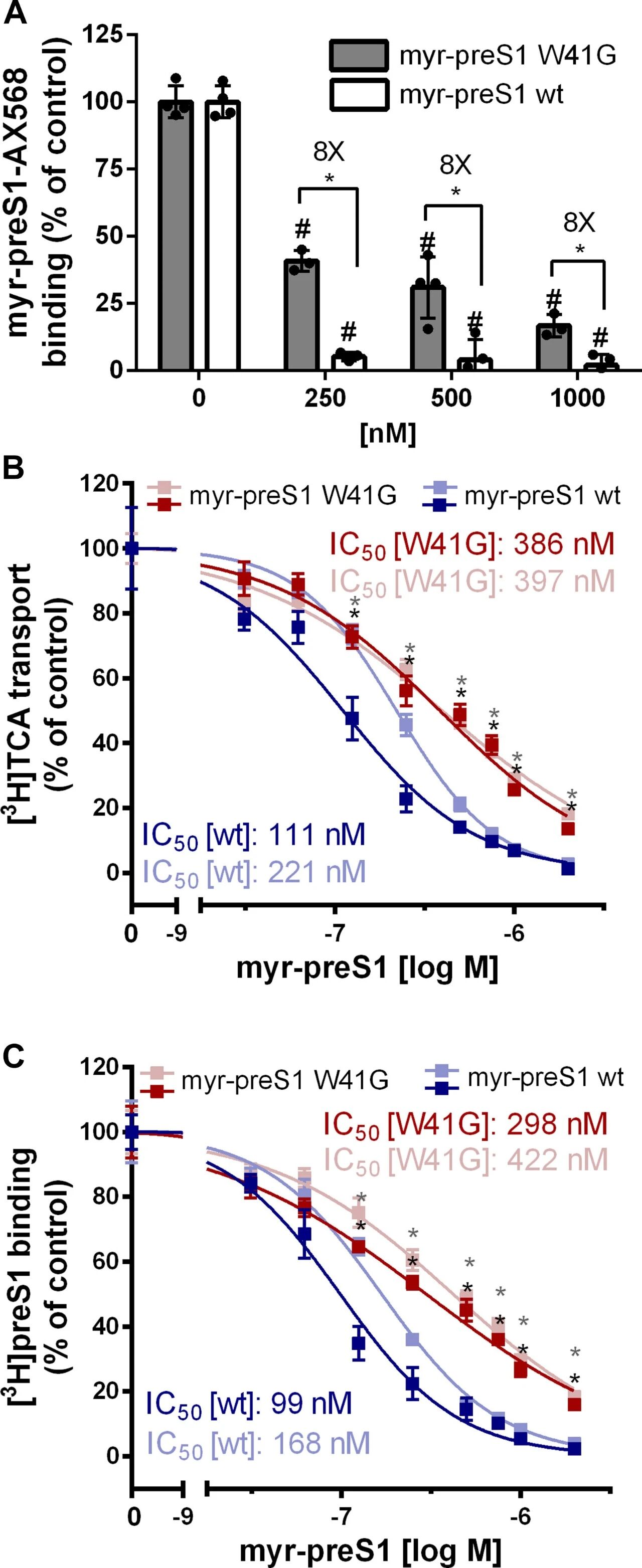 图5：野生型与W41G突变体myr-preS1对NTCP转运功能及结合能力的抑制作用