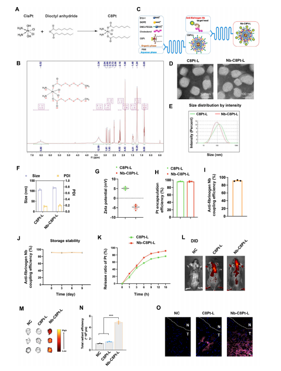 图2：钽修饰顺铂纳米颗粒(Nb-C8Pt-Ls)的制备与表征
