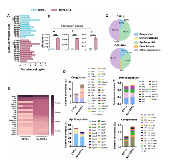图3：C8Pt-Ls与Nb-C8Pt-Ls在血浆中吸附蛋白冠的蛋白质组学比较