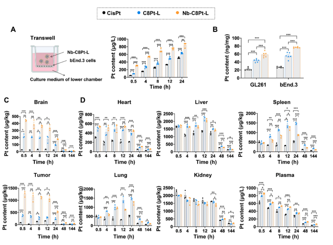 图5：钼修饰C8Pt脂质体在体外与体内对脑部及肿瘤的靶向效率