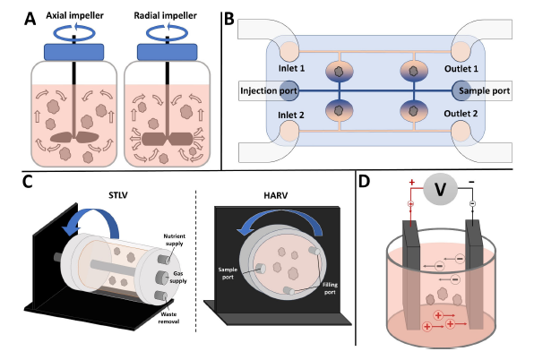 图1 用于组织体培养的常用生物反应器
