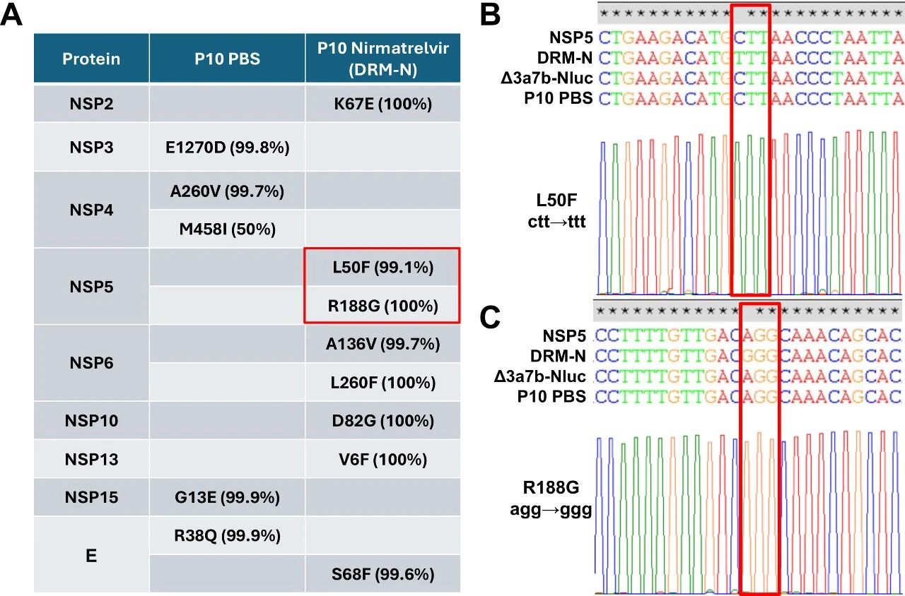 图5:耐药突变的鉴定