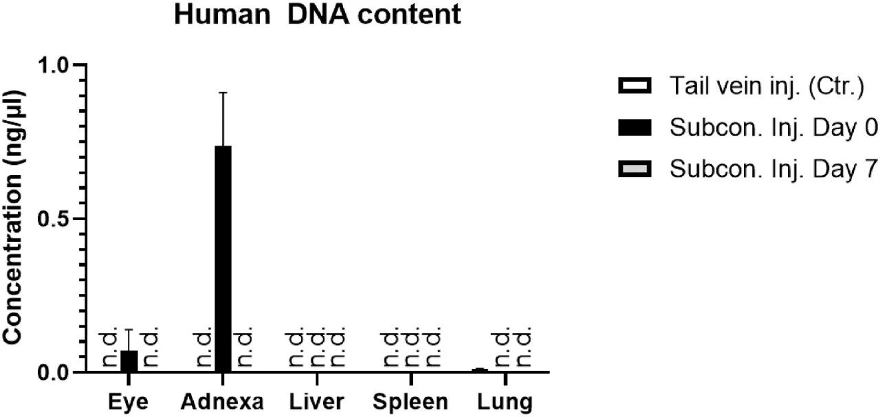 图3：Alu PCR 检测人 DNA 分布