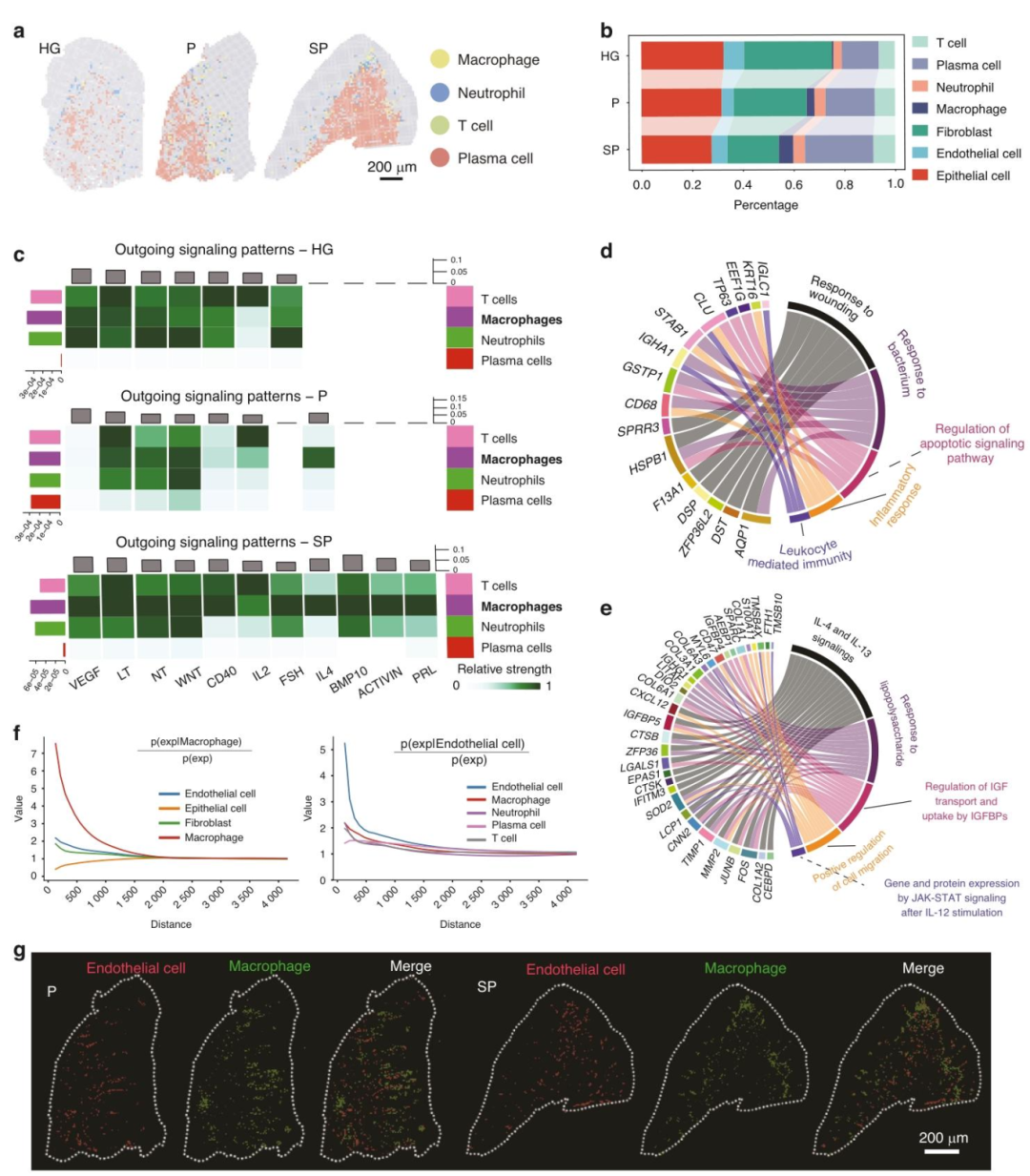 图 4：吸烟通过促进巨噬细胞功能异常扰乱免疫微环境