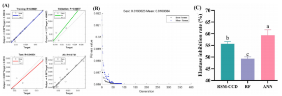 图2：(A)人工神经网络(ANN)预测模型，