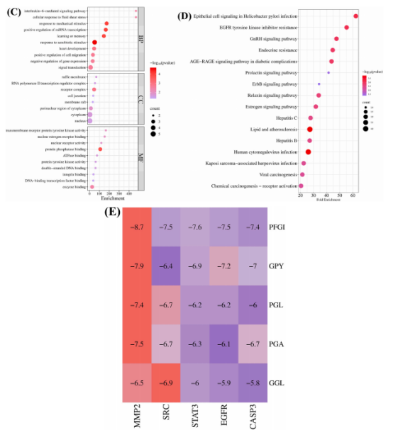 图5：(A)胶原蛋白肽预测靶点与皮肤光老化疾病基因交集的维恩图