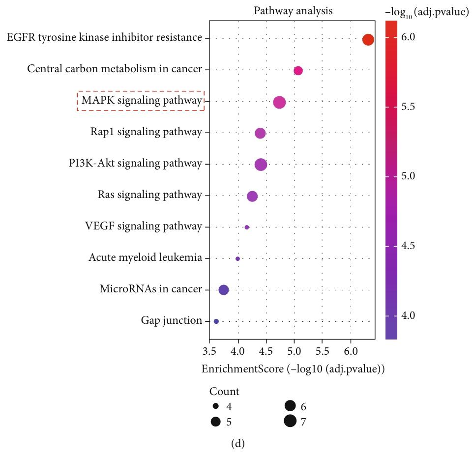 图 3：利伐沙班治疗 SIC 的靶点和通路分析