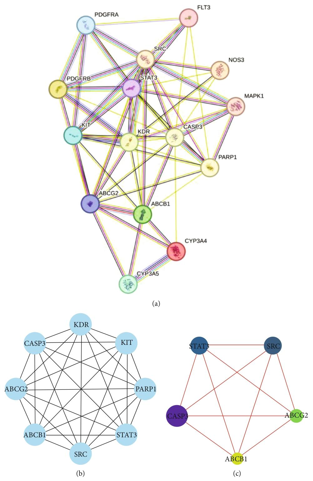 图 4：PPI 网络与核心靶点鉴定