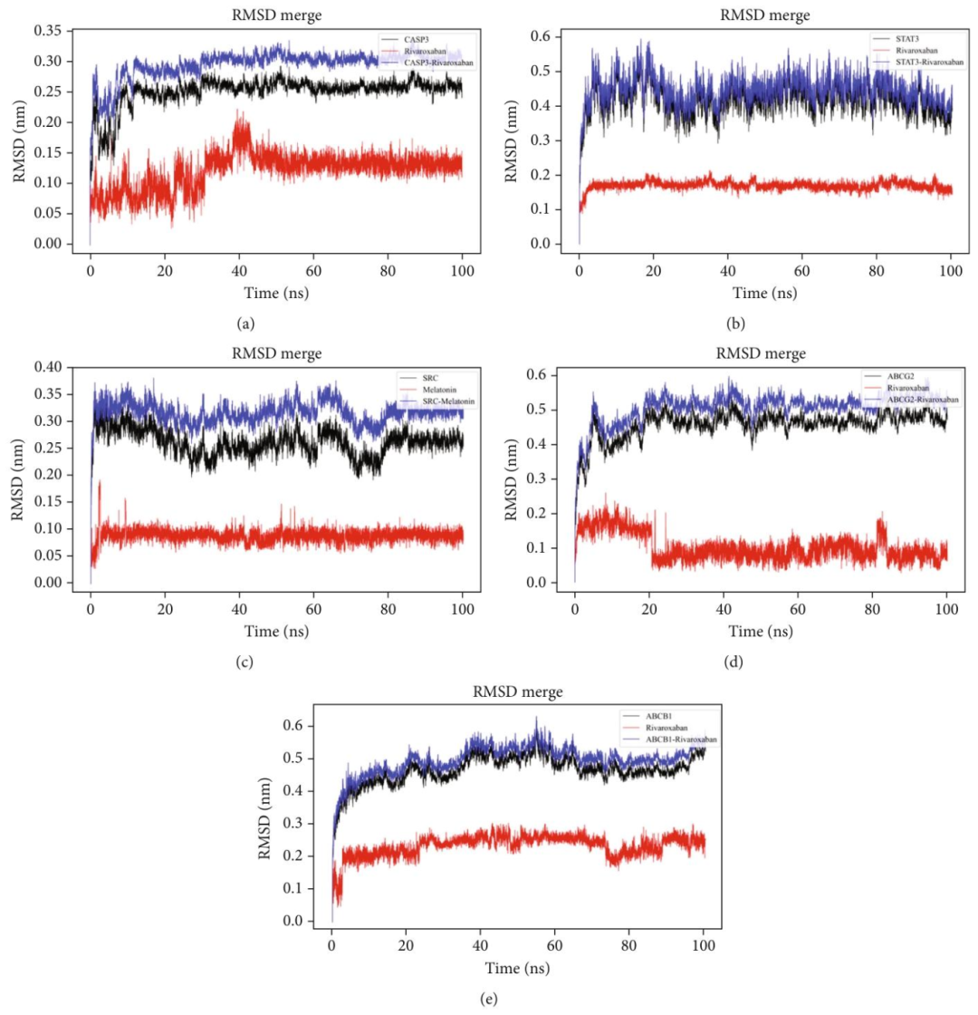 图 6：分子动力学模拟验证结合稳定性