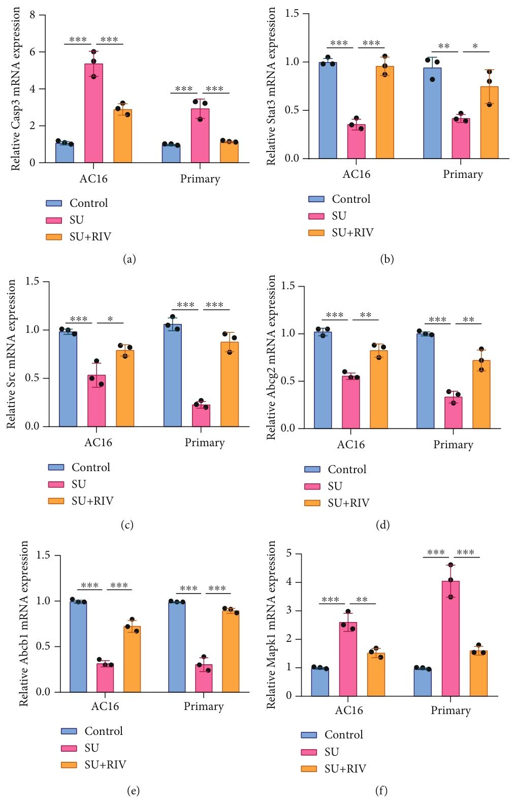 图 7：利伐沙班调控核心靶点及 MAPK 通路