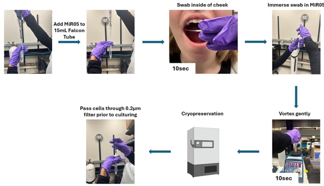图 2:样本制备概述
