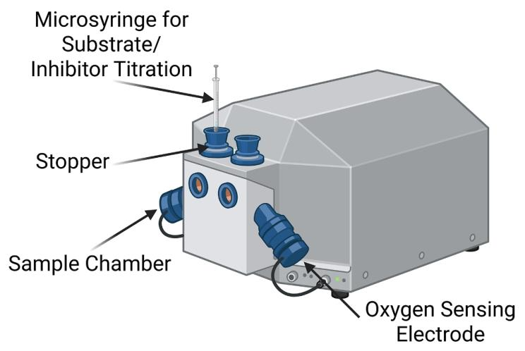 图 4:呼吸计结构示意图