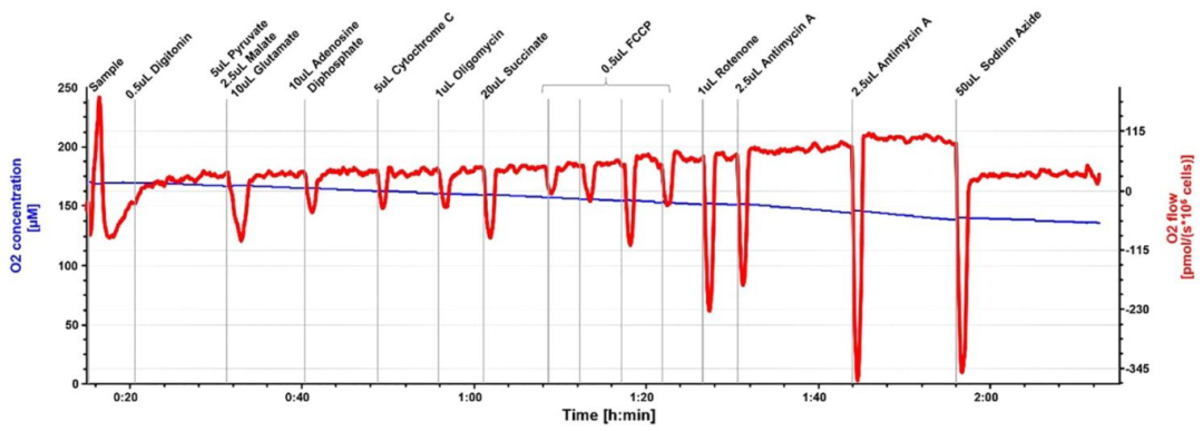 图 7:颊细胞培养悬浮液的线粒体呼吸典型轨迹