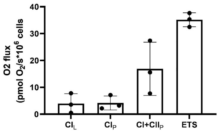 图 8:线粒体生物能量学数据