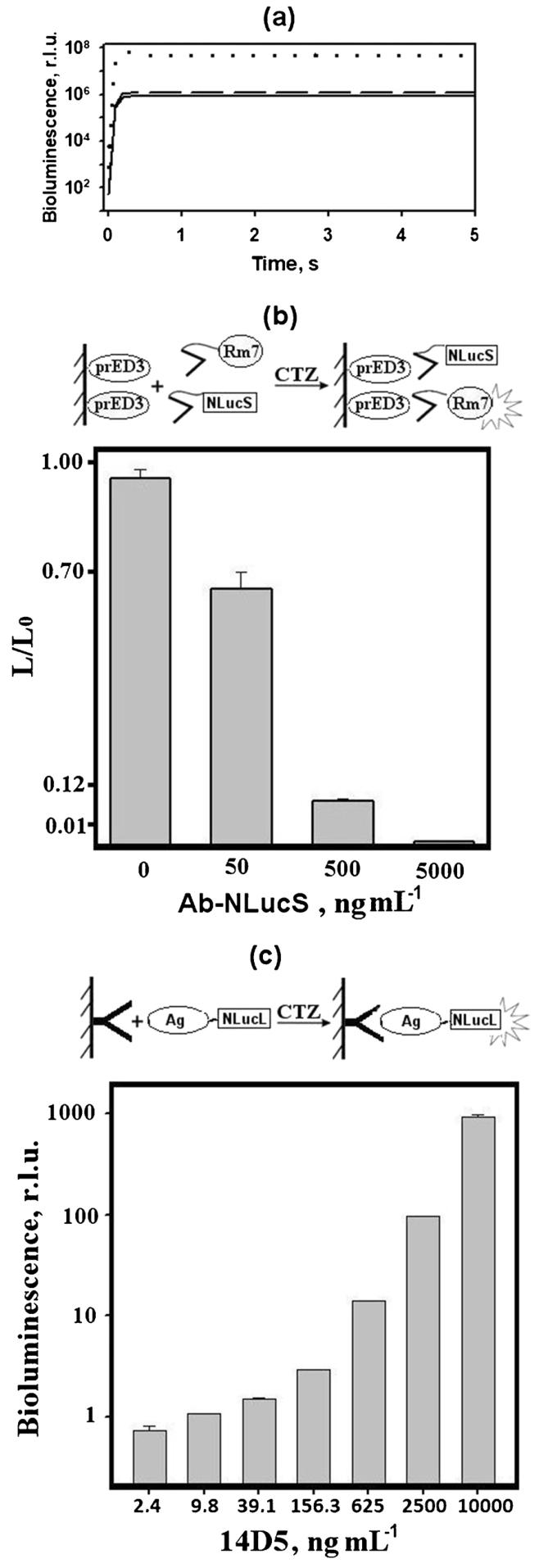 图2：最优融合对(14D5a-NLucS+prED3-NLucL)的关键特性