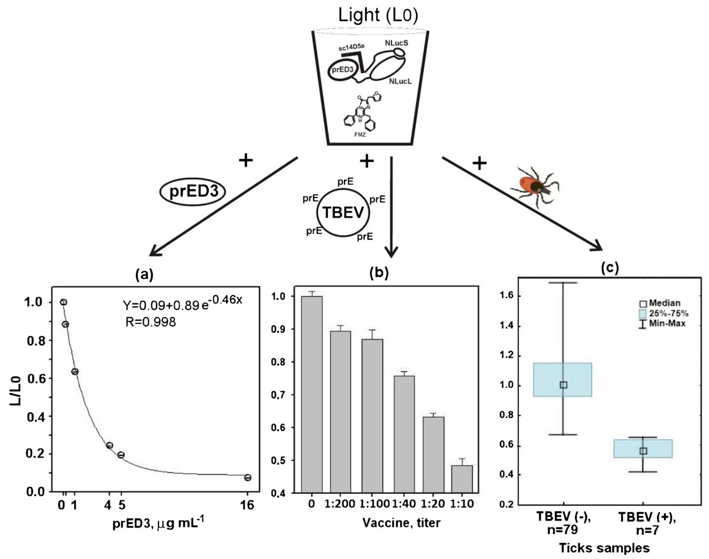 图3：TBEV 相关靶标的均相竞争性检测结果
