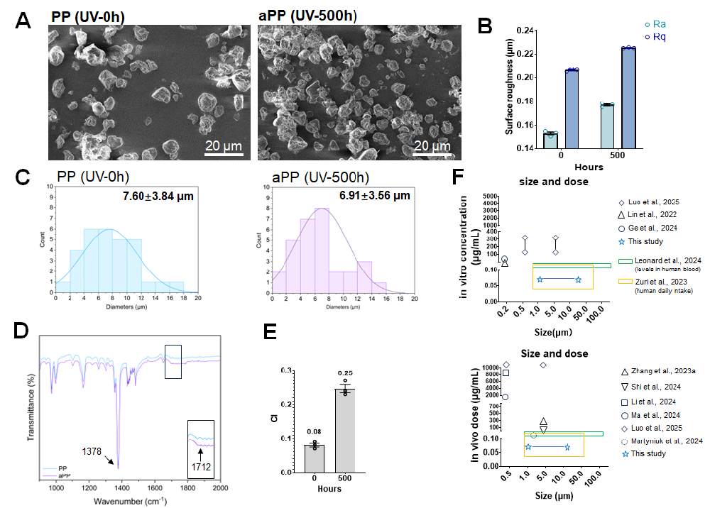 1) 微塑料特性表征与体外研究模型。