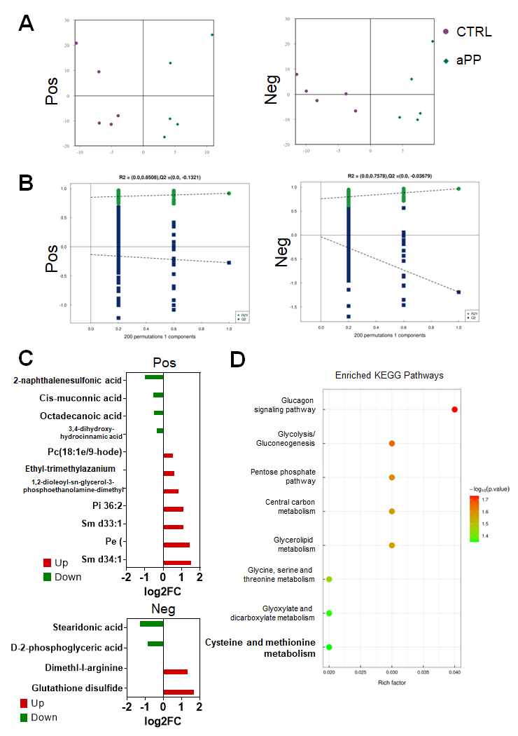 4) 代谢组学分析揭示微塑料对代谢物的影响。