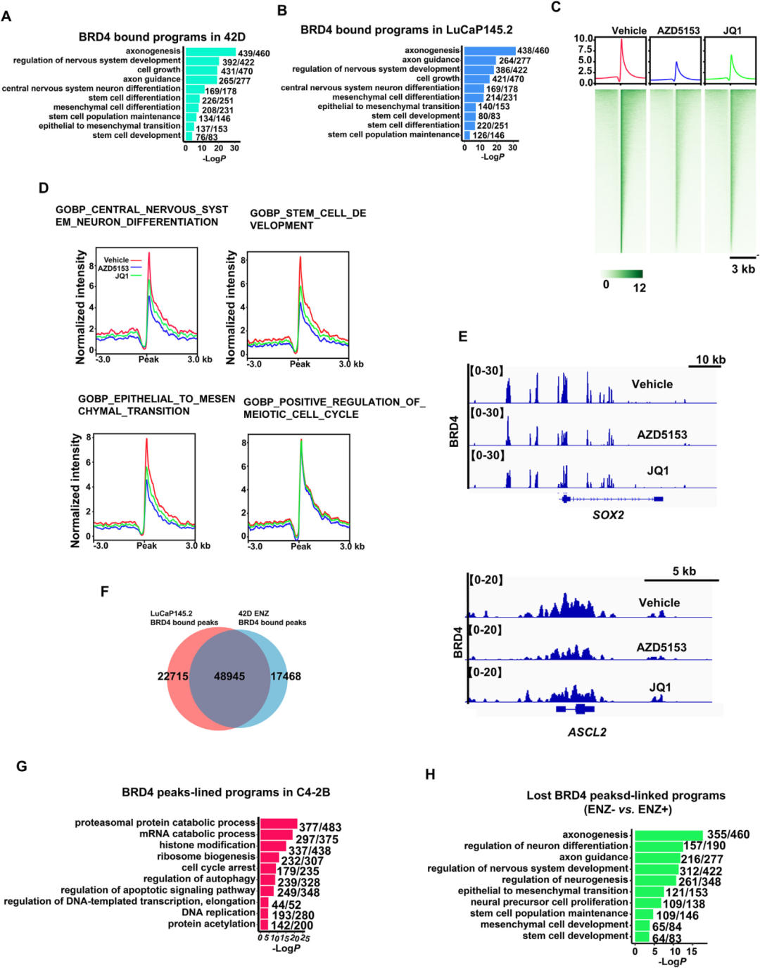 4) BRD4受ARPI药物重编程直接控制NEPC中的LP程序。