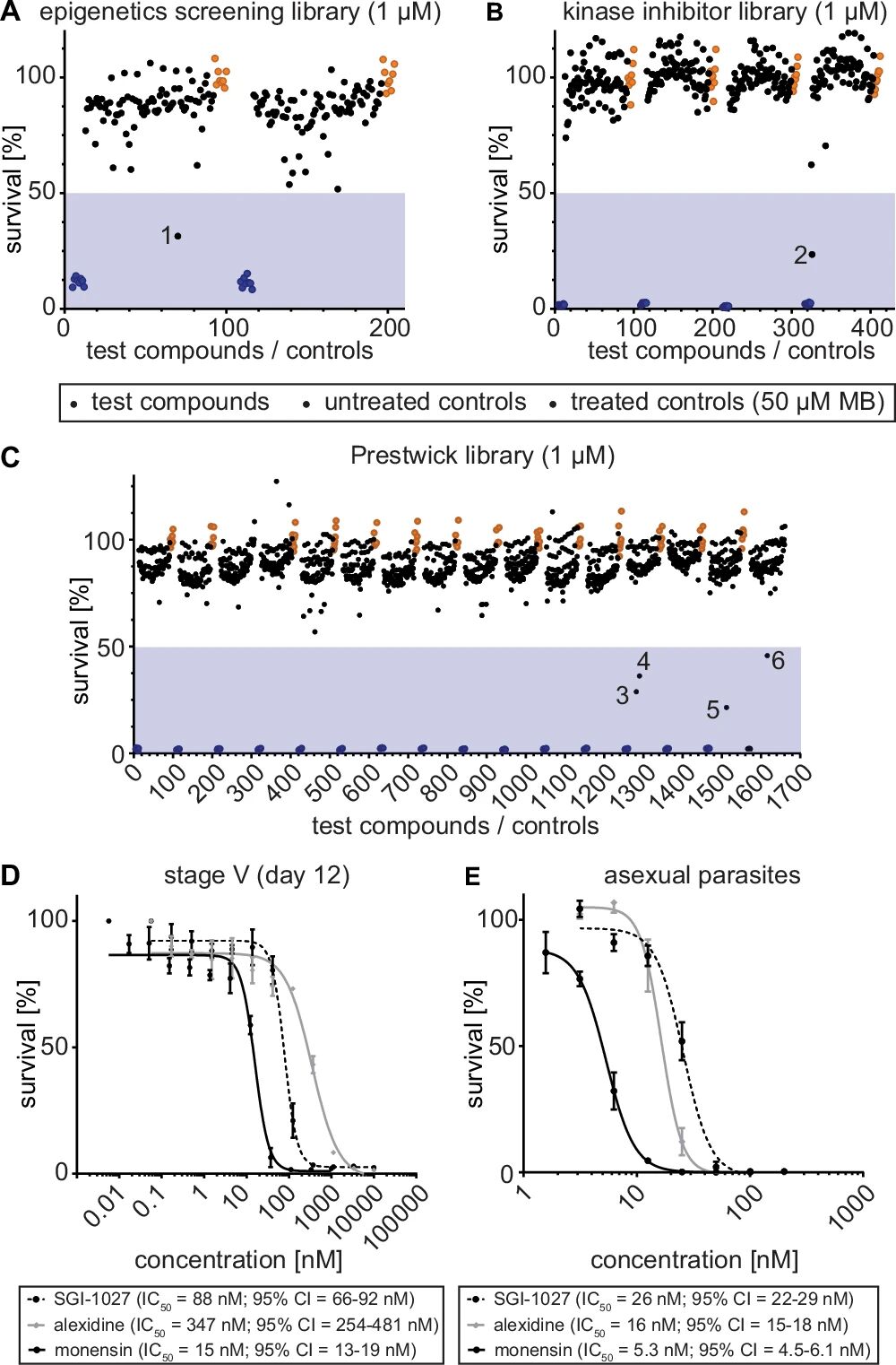 图3:化合物库筛选鉴定 V 期配子体杀伤分子