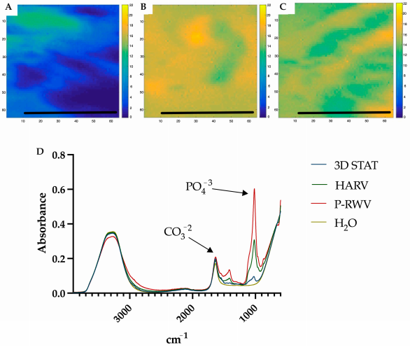 5) 定量对比和基因表达分析。