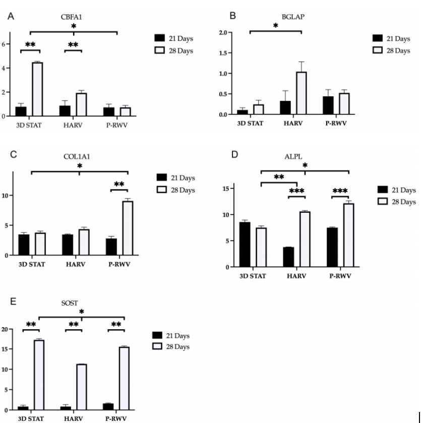 6) 定量PCR分析及代谢活动。