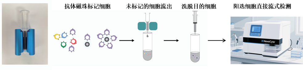 阳性分选原理图
