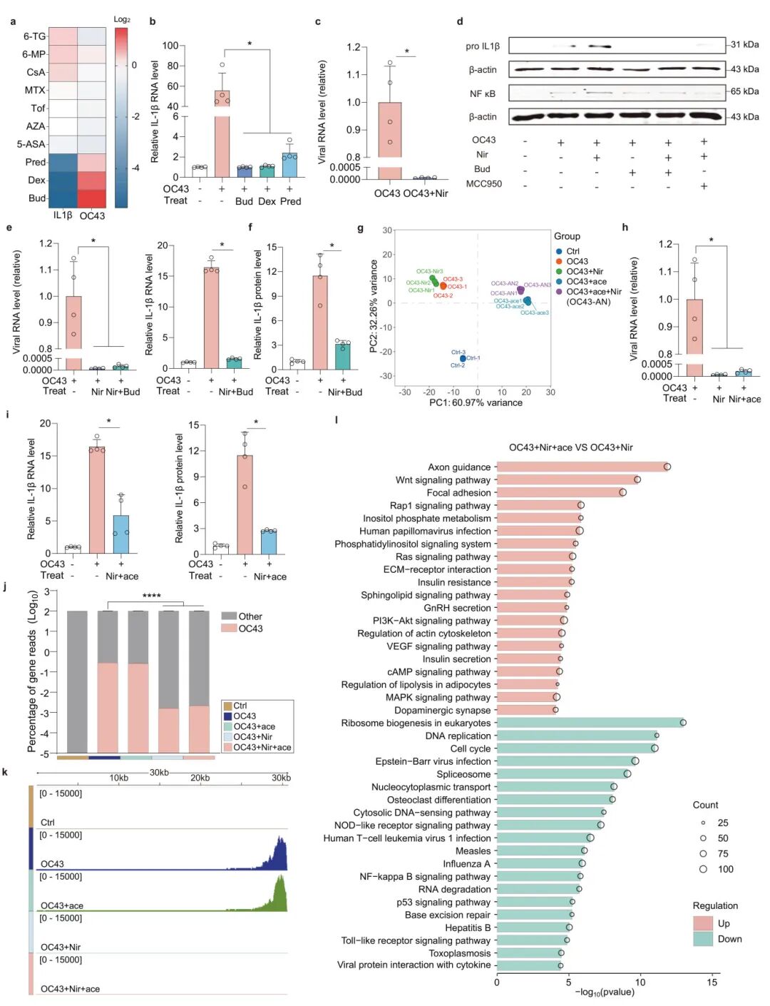 图7 MaugOs对肠道病毒感染的联合治疗
