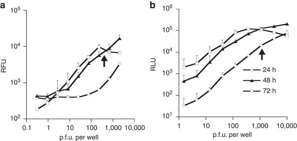 图3:报告基因信号与病毒滴度相关性确定