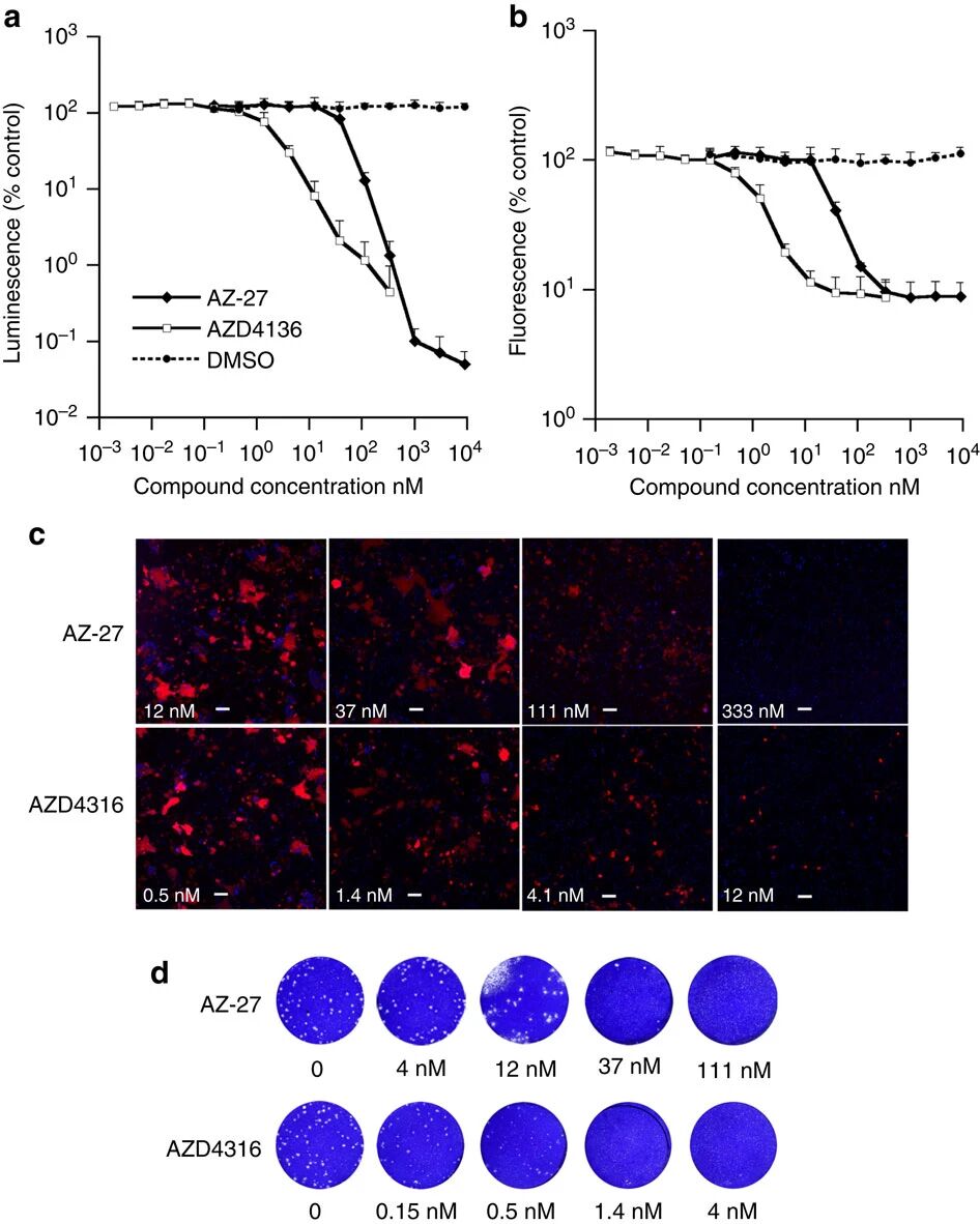 图4:重组RSV用于药物筛选及结果可靠