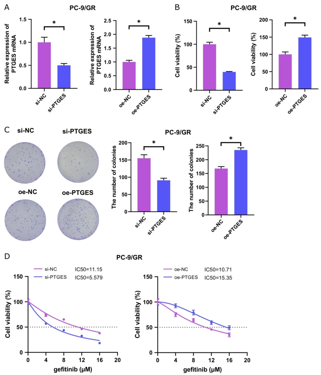 图 2：PTGES 增强 LUAD 细胞对吉非替尼的耐药性