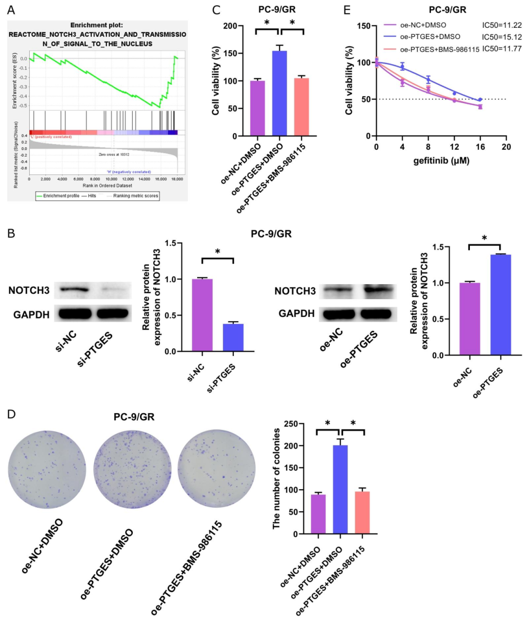 图 3：PTGES 通过 NOTCH3 通路调控耐药