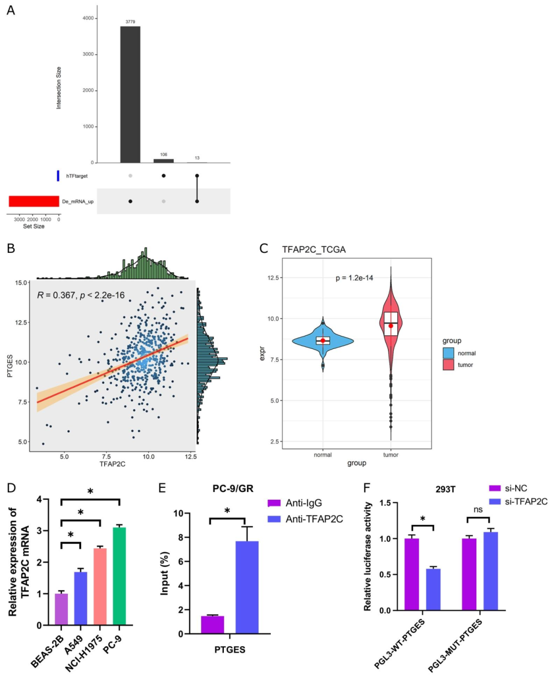 图 4：TFAP2C 是 PTGES 的上游转录调控因子
