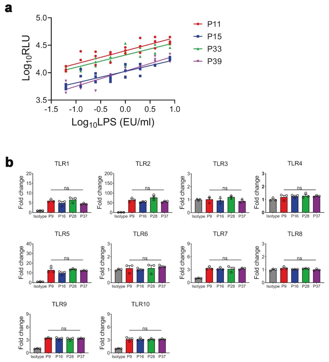 图3：细胞传代稳定性