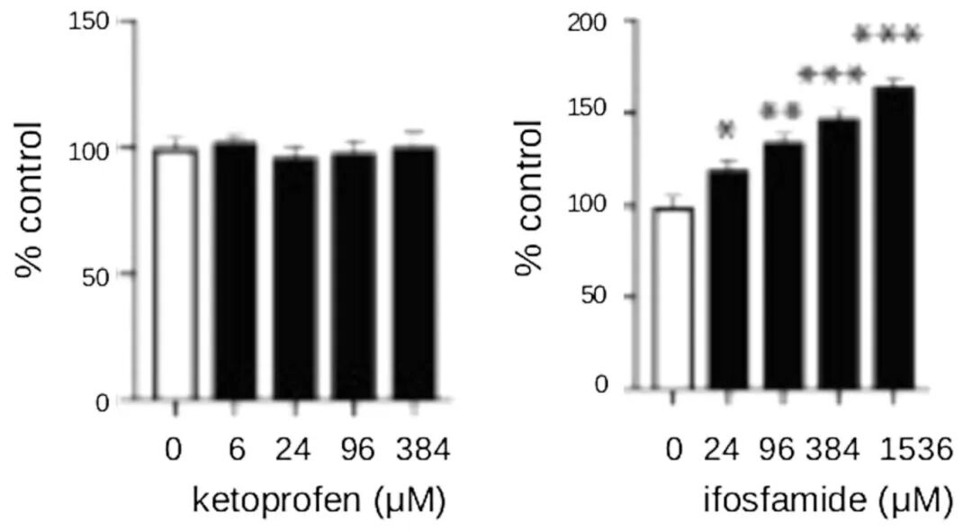 图3 由HMOX-1报告高PSCs制成的肾类器官对两种药物浓度系列的反应示例