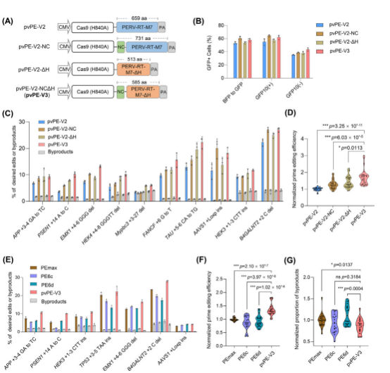 图3：通过优化pvPE结构提升编辑效率