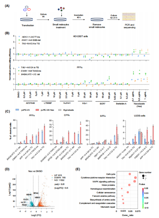 图4：小分子对pvPE系统的影响