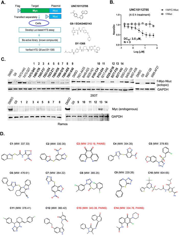 图1:Myc 下调化合物的 HTS 筛选与鉴定