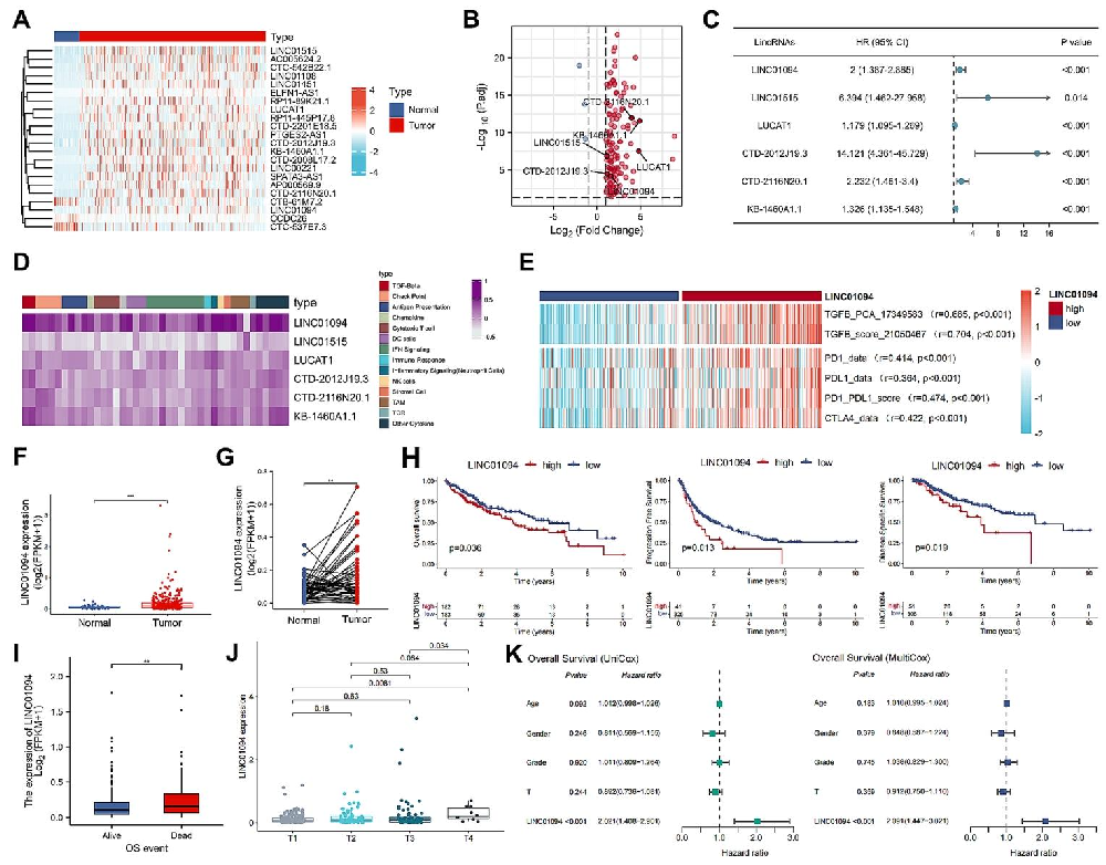 图1：LINC01094 在 HCC 中高表达且与不良预后相关