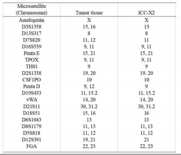 ICC-X2人肝内胆管癌细胞STR鉴定图