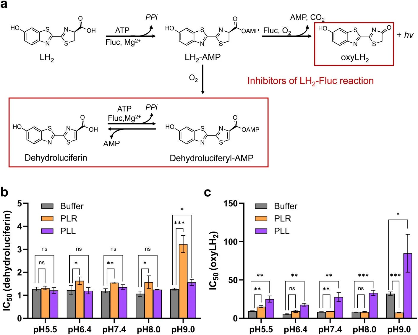 图5：凝聚层对 BL 反应抑制剂的影响