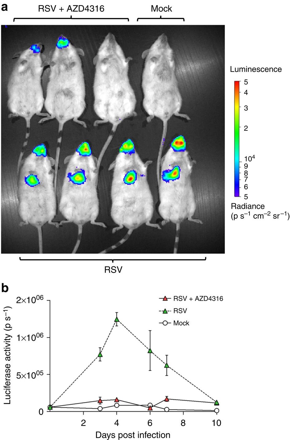 图6：pH5.5-9.0凝聚层提升BL量子产率且与颜色无关