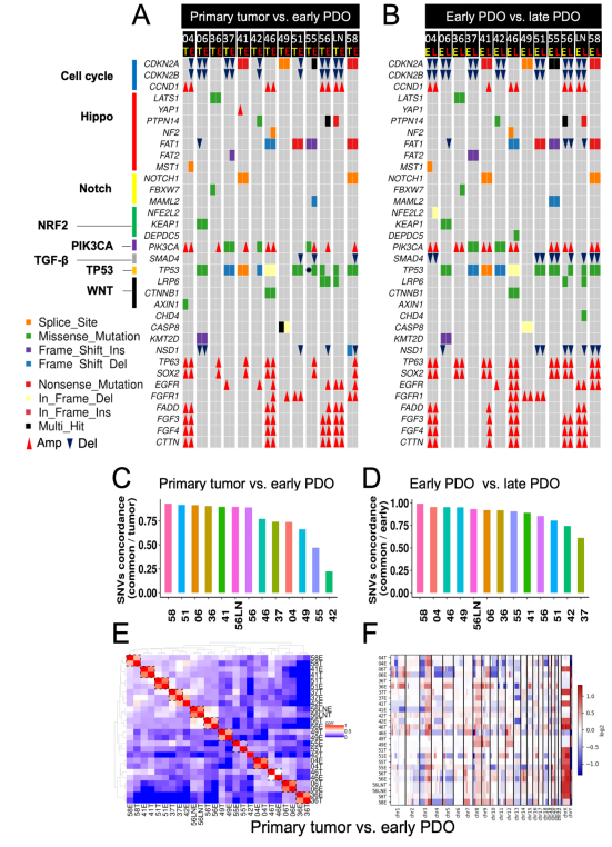 3，基因组和转录组学分析。