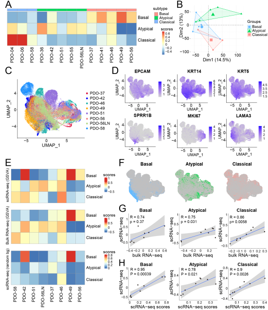4，单细胞分析与肿瘤内异质性。