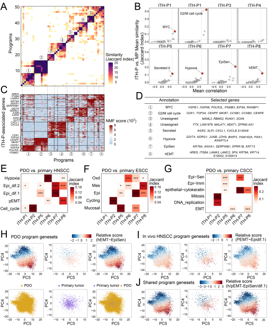 5，hEMT程序与顺铂耐药性。