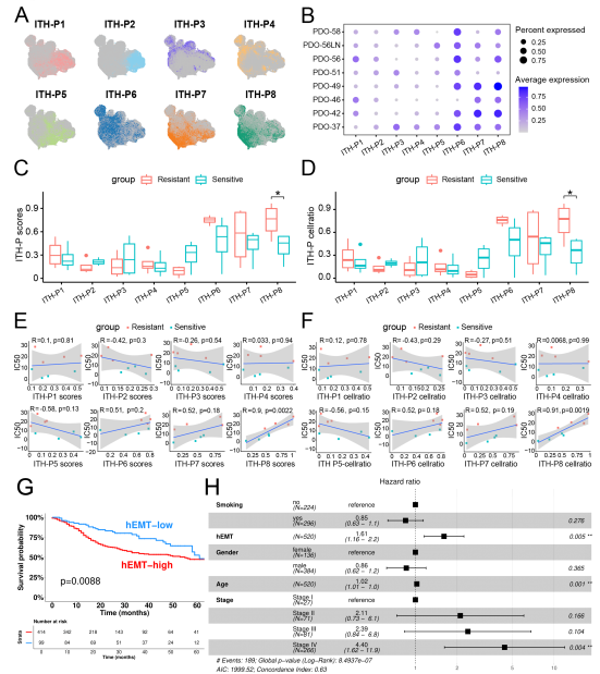 6，AREG调控hEMT程序和顺铂敏感性。