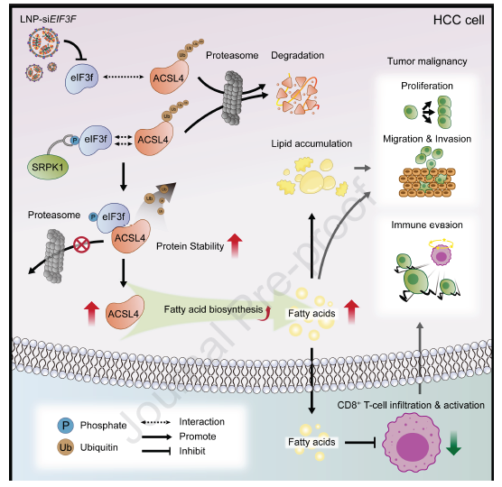 图1 实验示意图
